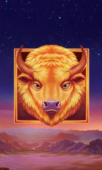 Buffalo's Sun